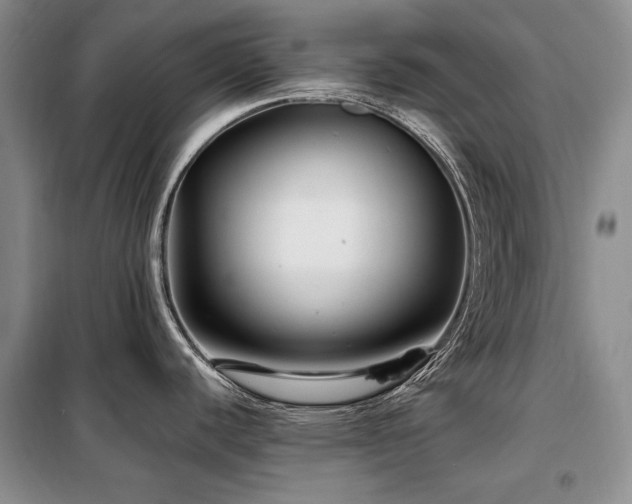 X0000099311440200805021304