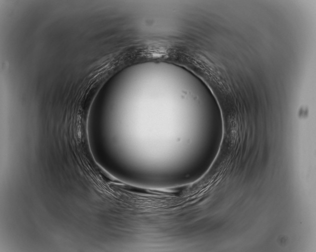 X0000099311442200805021303