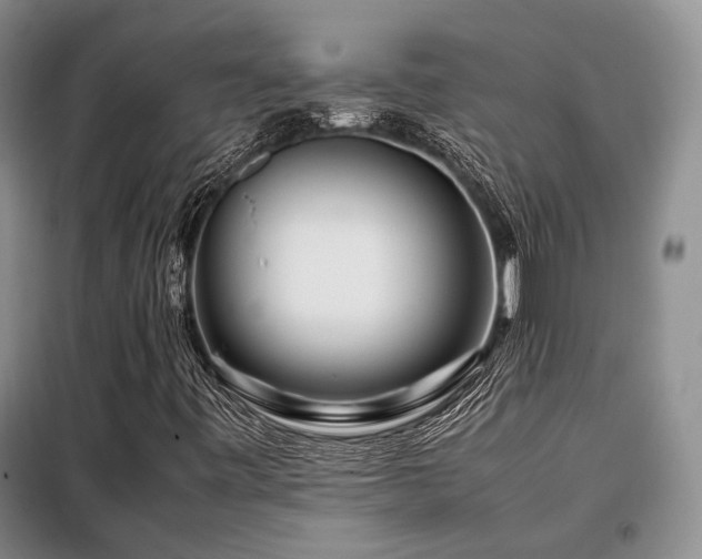 X0000099311443200805021303