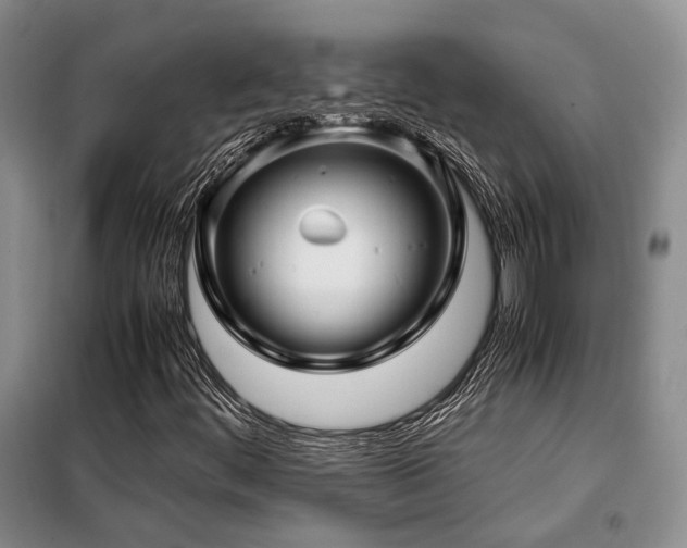 X0000099311444200805021303