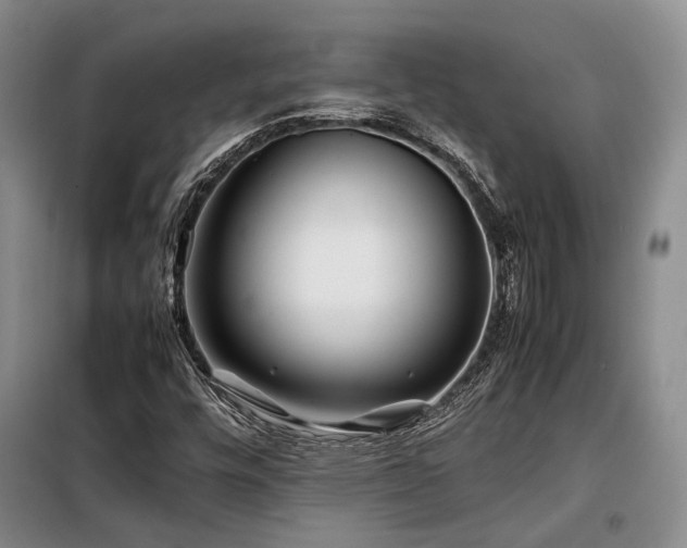 X0000099311448200805021303