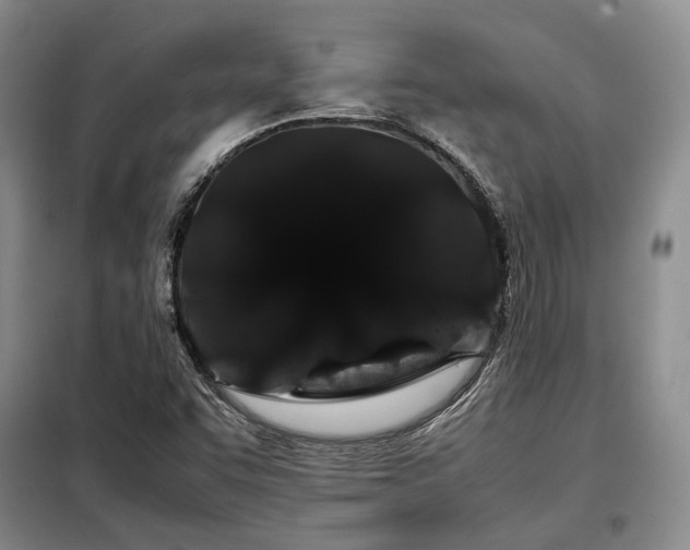 X0000099311455200805021303
