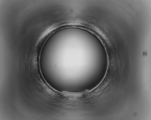 X0000099311456200805021303