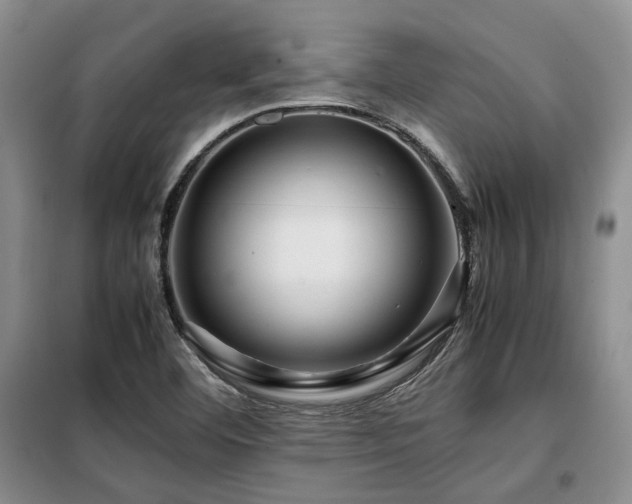 X0000099311460200805021303