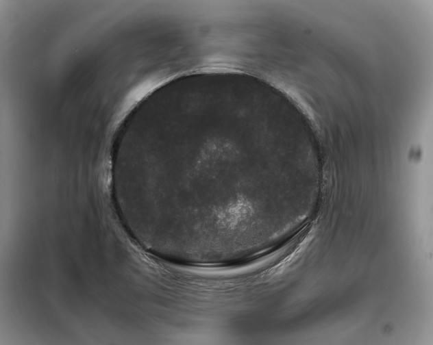 X0000099311461200805021303