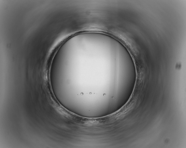 X0000099311462200805021303