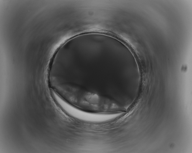 X0000099311463200805021303