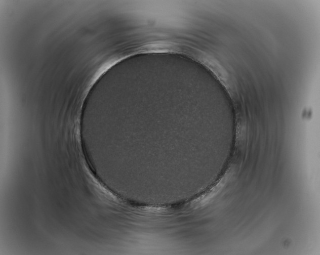 X0000099311465200805021303