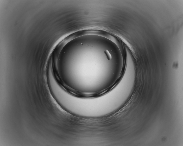 X0000099311468200805021303