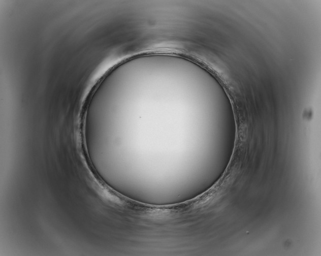 X0000099311470200805021303