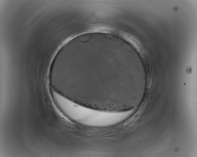 X0000099311471200805021303
