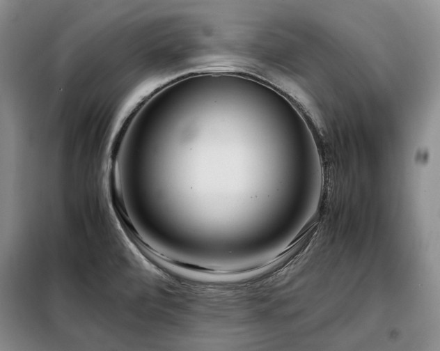 X0000099311472200805021303