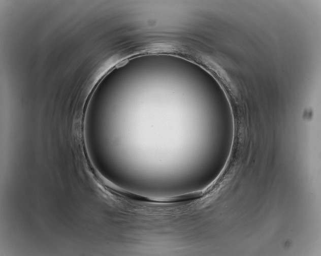 X0000099311473200805021303