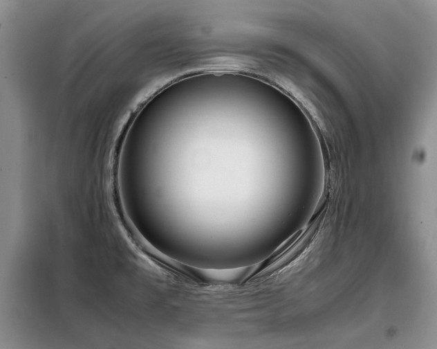 X0000099311477200805021303