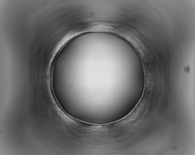 X0000099311478200805021303