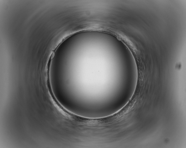 X0000099311479200805021302