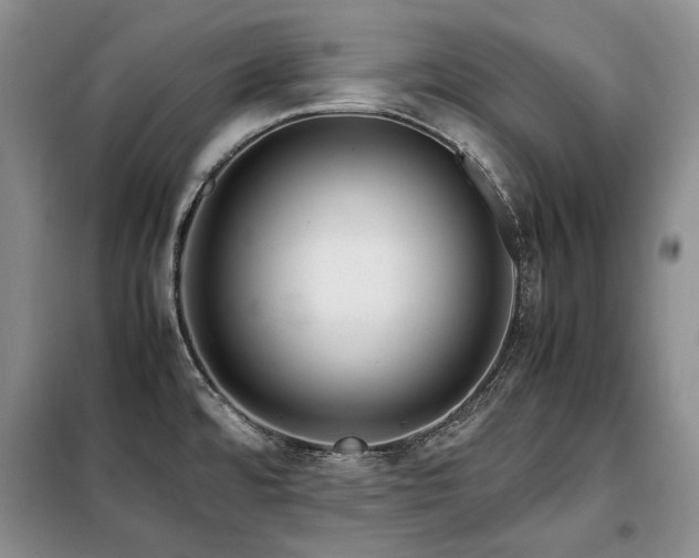 X0000099311480200805021302