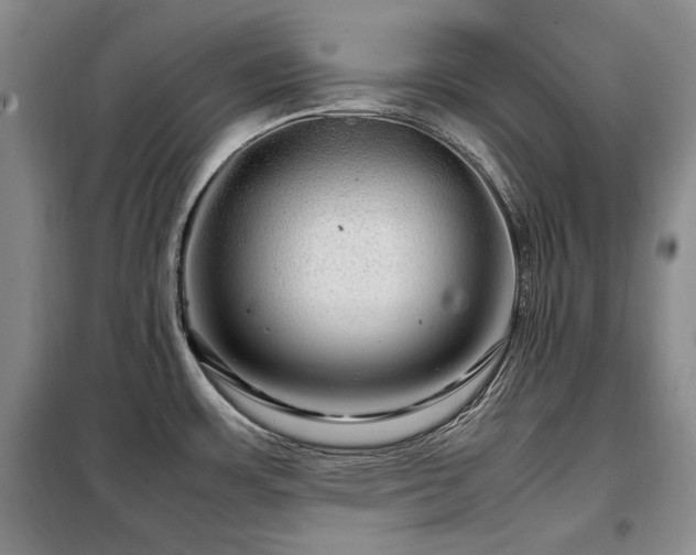 X0000099311483200805021302