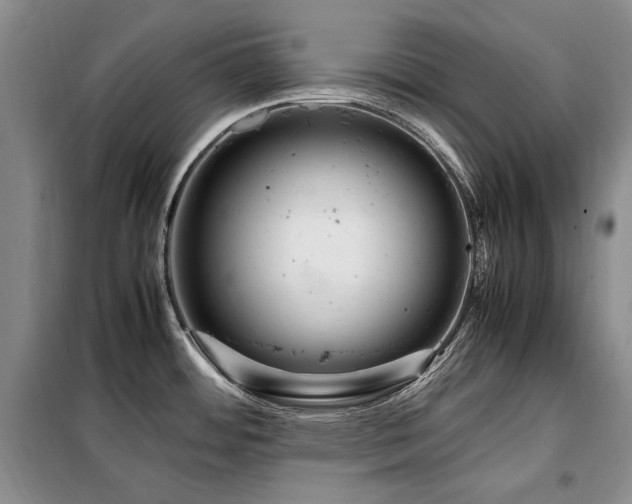 X0000099311484200805021302