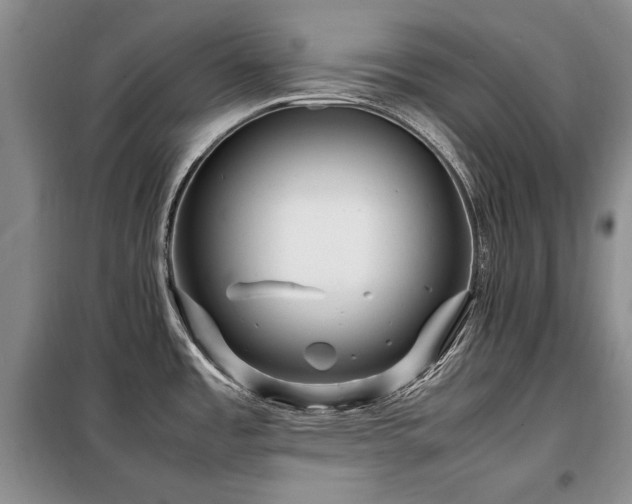 X0000099311485200805021302