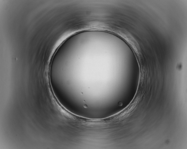 X0000099311486200805021302