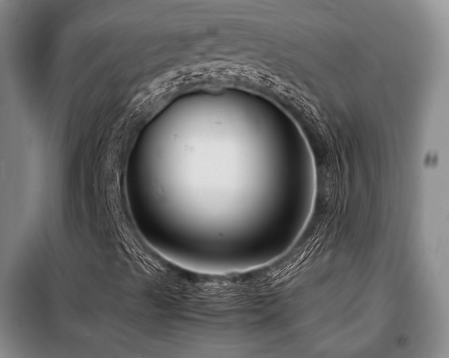 X0000099311489200805021302