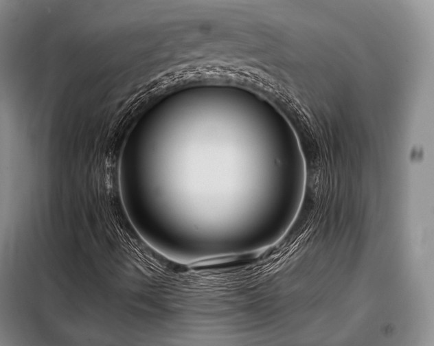 X0000099311490200805021302