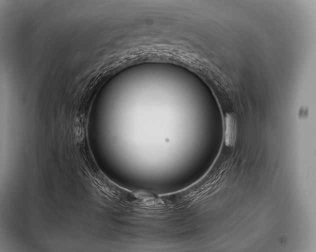 X0000099311491200805021302