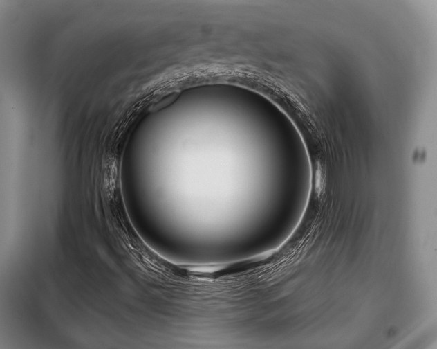 X0000099311492200805021302