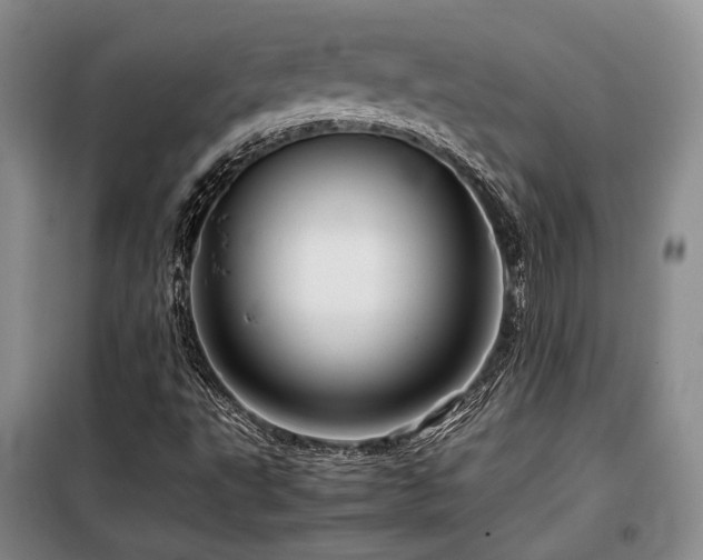 X0000099311495200805021302