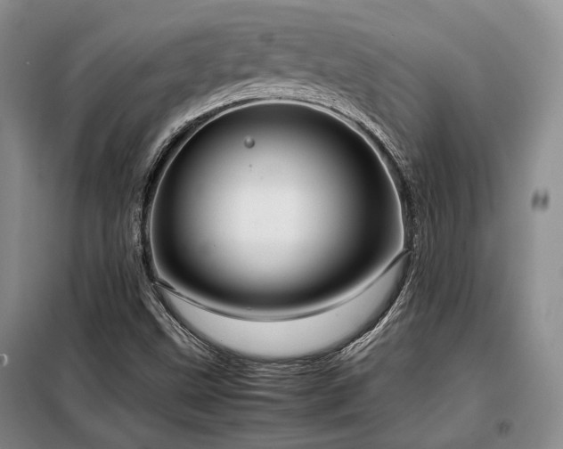X0000099311499200805021302