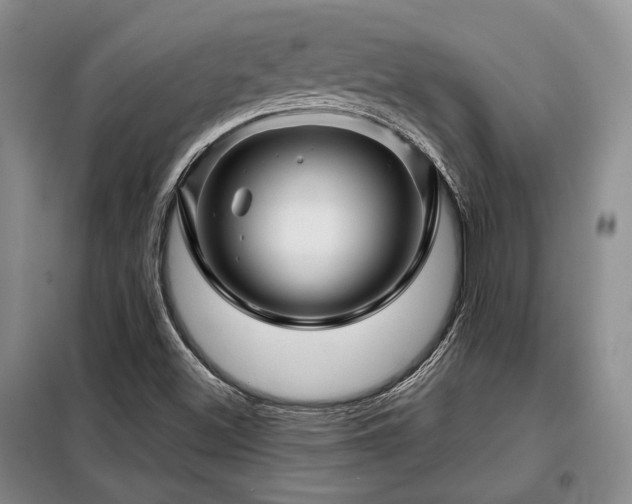 X0000099311500200805021302