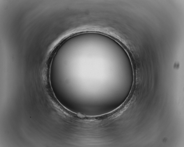 X0000099311502200805021302