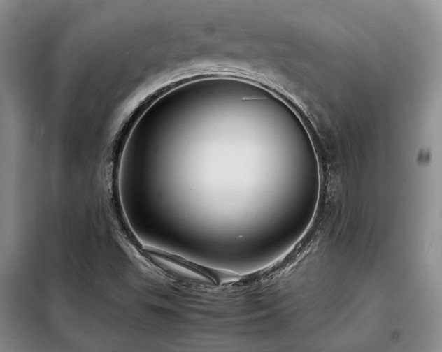 X0000099311503200805021302