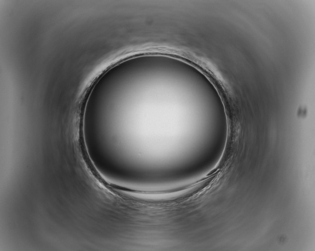 X0000099311504200805021302