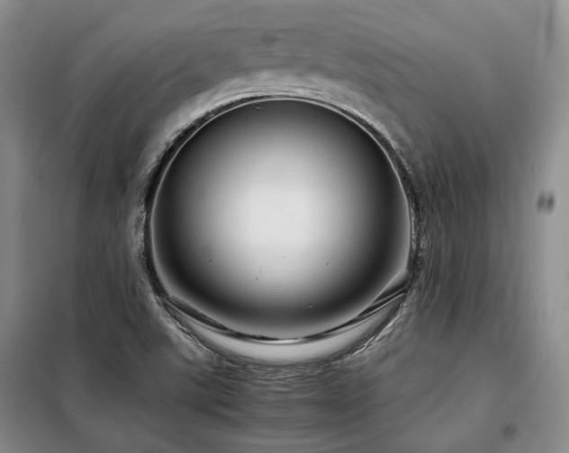 X0000099311507200805021302