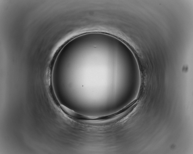 X0000099311510200805021302