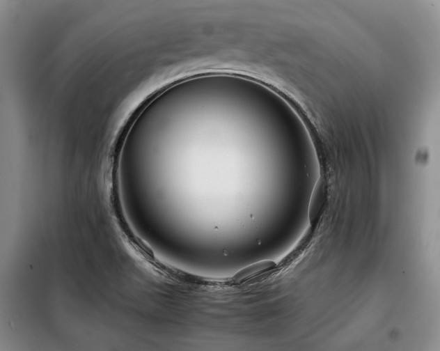 X0000099311511200805021302