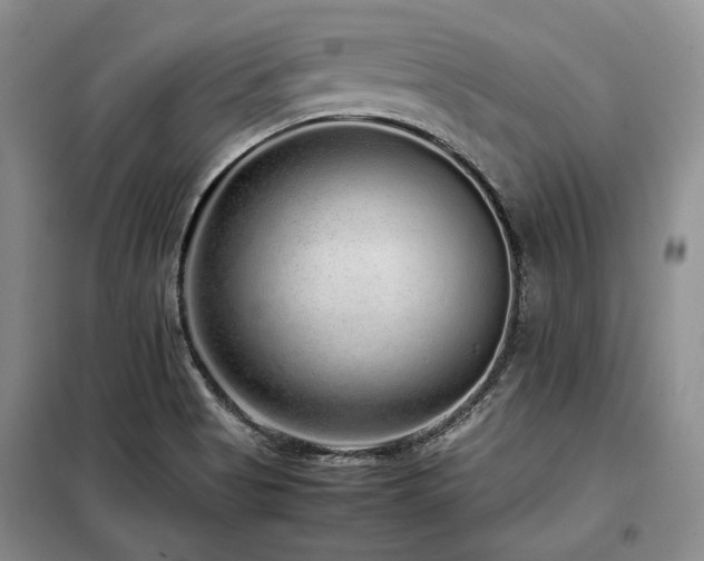 X0000099311513200805021302