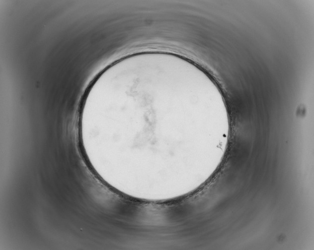 X0000099311514200805021302