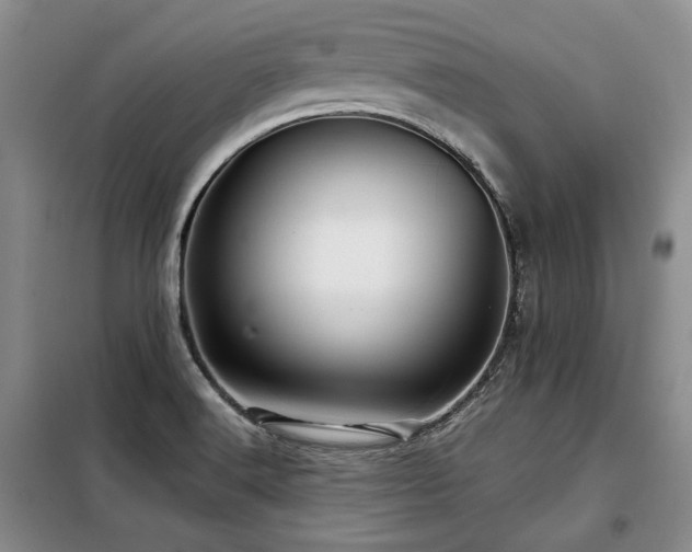 X0000099311516200805021302