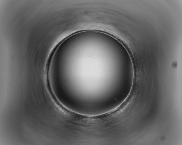 X0000099311517200805021302