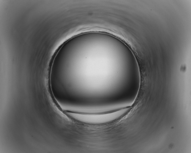 X0000099311518200805021302