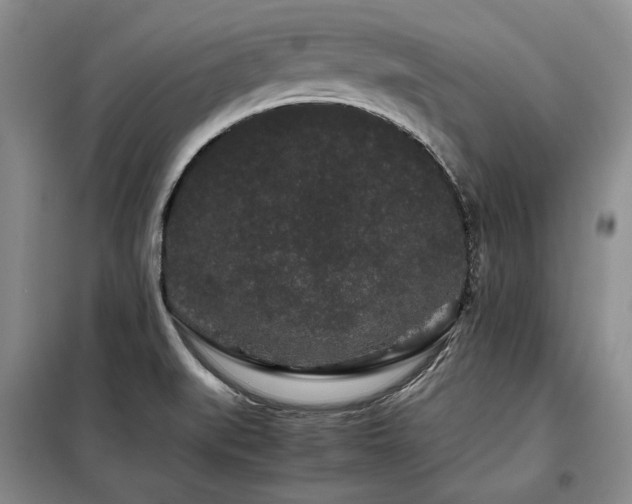X0000099311519200805021302