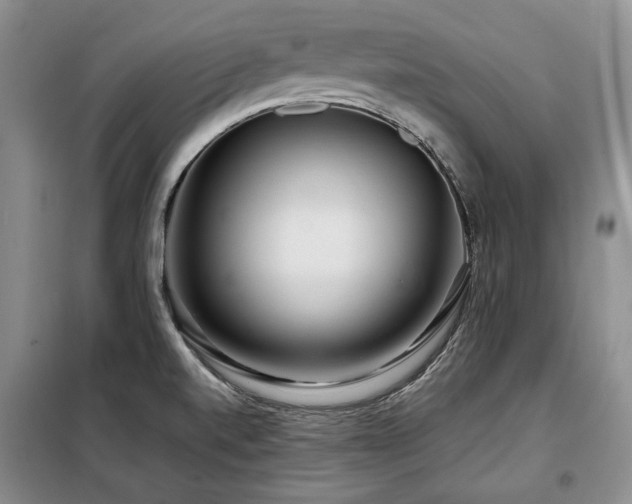 X0000099311520200805021302