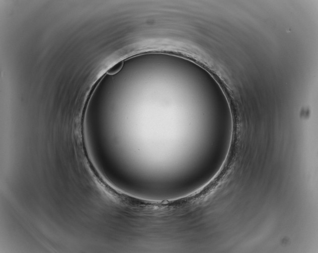 X0000099311521200805021302