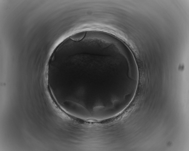 X0000099311522200805021302