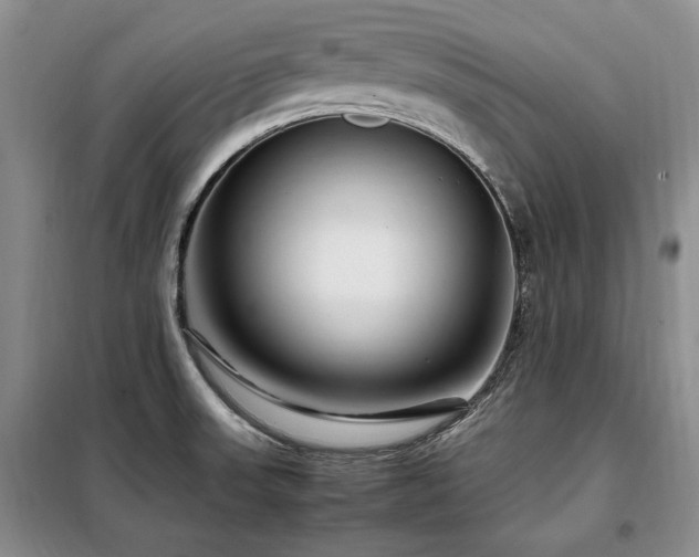X0000099311523200805021302