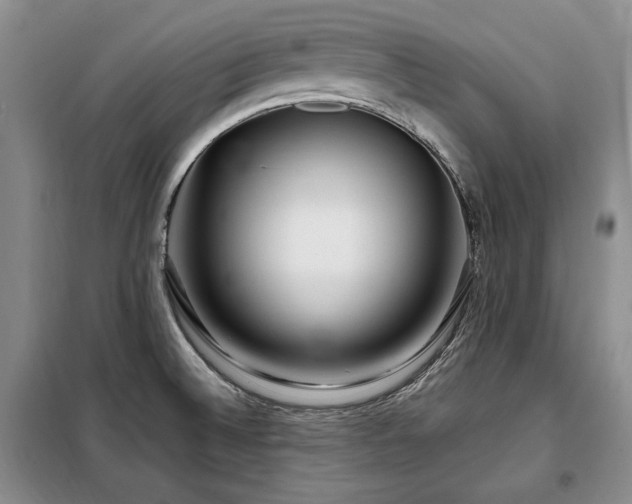 X0000099311524200805021302