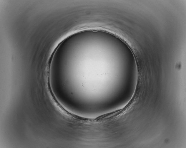 X0000099311526200805021302